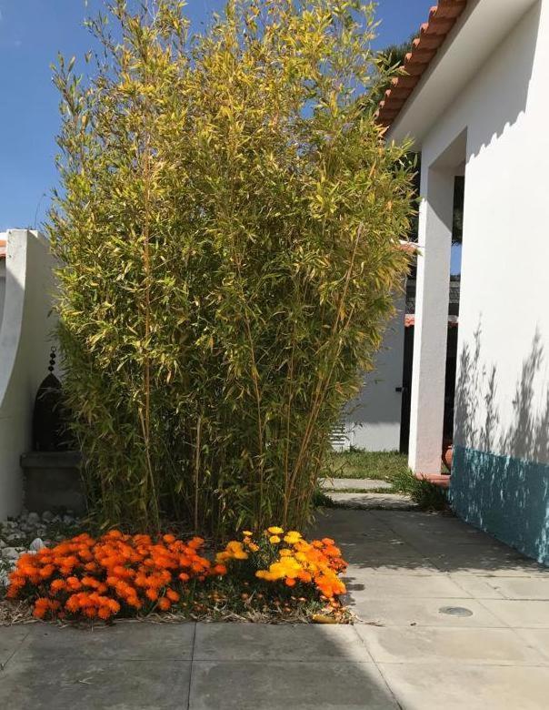 Santa Cruz Beach House Areias Ngoại thất bức ảnh